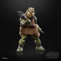 Star Wars The Black Series Gamorrean Guard 40th | Frikipolis.com