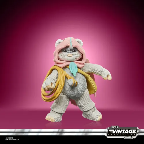 Hasbro Original Star Wars The Vintage Collection Figurine De Wicket W Warrick Y Kneesaa Especificaciones
