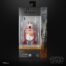 Star Wars The Black Series R4-6D0
