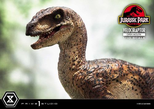 Jurassic Park Estatua Prime Collectibles 1/10 Velociraptor Open Mouth 19 cm - Imagen 3