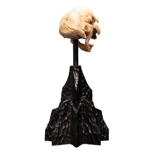 El Señor de los Anillos Estatua Skull of a Moria Orc 13 cm - Imagen 3