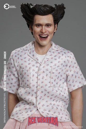 Ace Ventura, un detective diferente Figura 1/6 Ace Ventura Shady Acres Version 30 cm - Imagen 9
