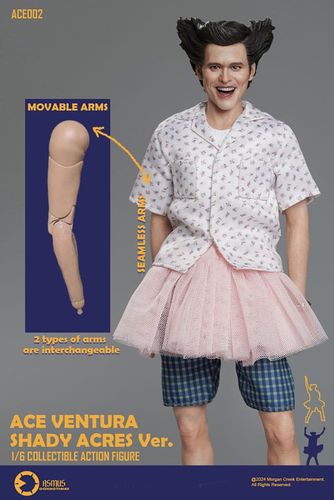 Ace Ventura, un detective diferente Figura 1/6 Ace Ventura Shady Acres Version 30 cm - Imagen 7