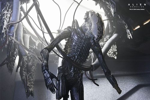Alien: Romulus Figura Deluxe Suspended Lab Xenomorph XX121 18 cm ...