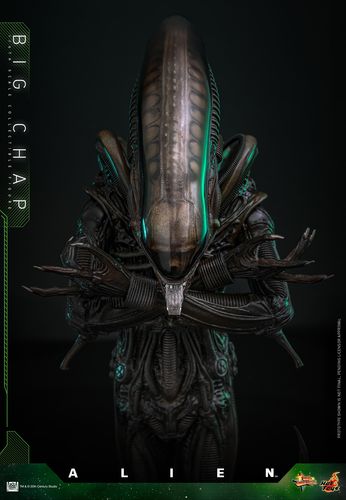Alien 1979 Figura Movie Masterpiece 1/6 Alien Big Chap - Imagen 12