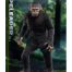 Planet of the Apes Figura 1/6 Ape Leader Caesar