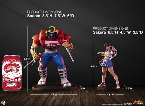 Street Fighter Street Jam Estatuas 1/10 Sakura & Sodom 22 cm - Imagen 2