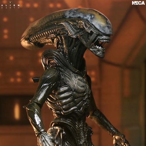 Alien Earth Wendy Xenomorph Ultimate Action Figure