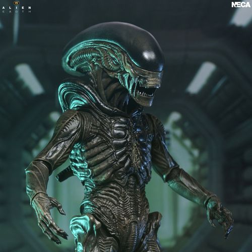 Alien Earth Xenomorph Ultimate Action Figure