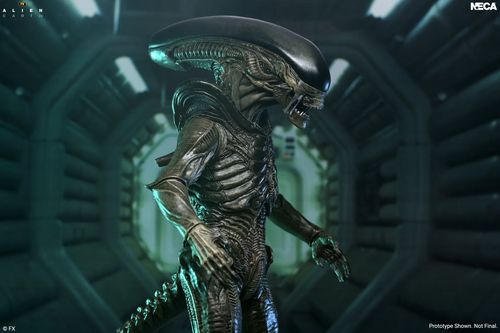 Alien Earth Xenomorph Ultimate Action Figure - Imagen 3