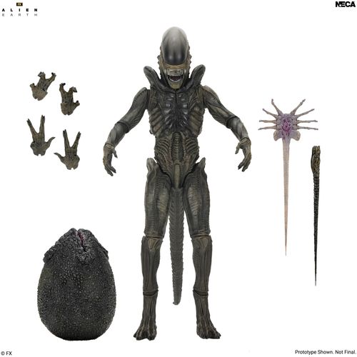 Alien Earth Xenomorph Ultimate Action Figure - Imagen 2